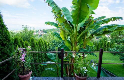 Deva House | Belvedere