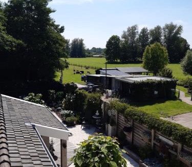 Alkmaar House | BenB Humblebee