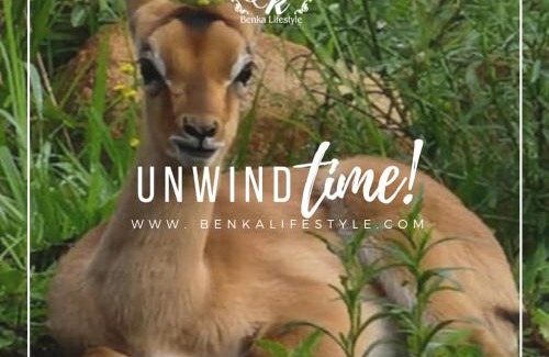Lobamba House | Benka LifeStyle Country Cottages