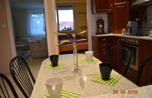 Berettyoujfalu Apartment | Berettyo Central Apartment
