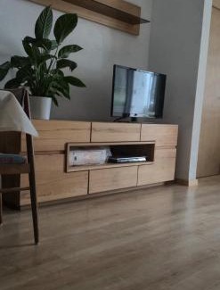 Frastanz Apartment | Bergblick