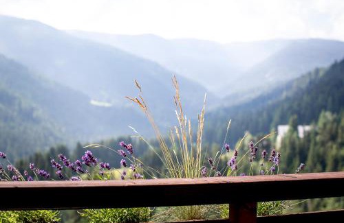 Sankt Georgen am Kreischberg Apartment | Bergblick Ruhe und Aussicht auf 1100m
