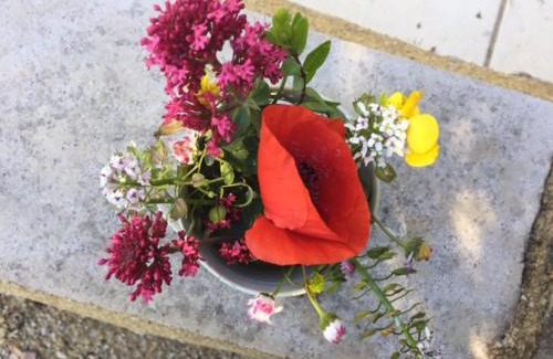 Baladou Bed & Breakfast | Bergerie de Lagarrigue