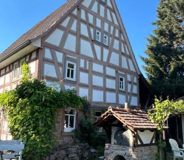Hoechst im Odenwald Apartment | Bergfohlenhof