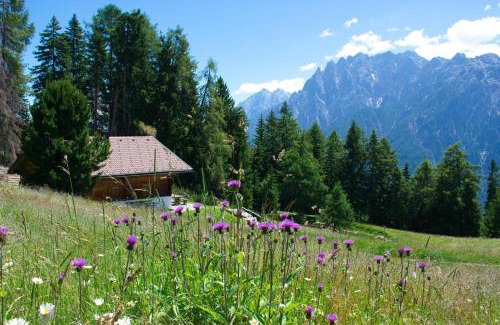 Assling Ski Chalet | Bergquellenhütte