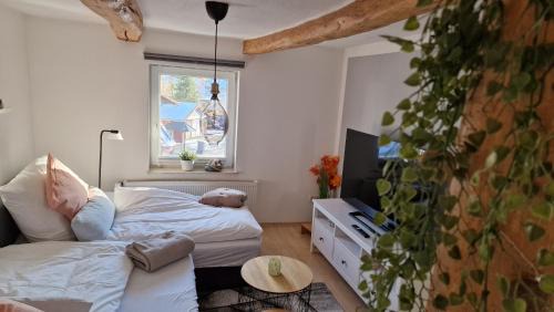 Gleichen Apartment | Bergstrasse