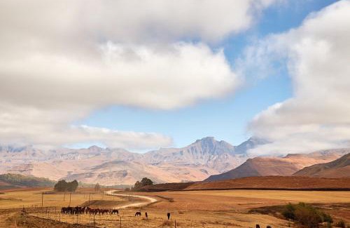 Drakensberg Gardens House | Bergview Farm Cottage by First Private Stays