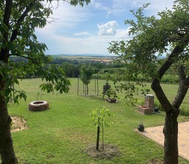 Szolosgyorok Apartment | Berkenyés Házikó - Dél-Balaton
