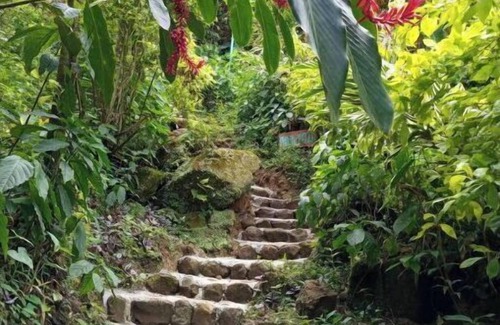 Trafalgar House | Berkey's Jungle Paradise
