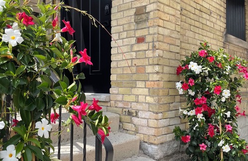 Stratford Apartment | Berklee Suites of Stratford- Private 1 Bedroom Apartment