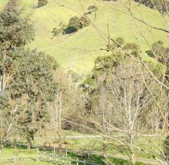 Strath Creek Bed & Breakfast | Berner B&B, Halls on Falls Homestead
