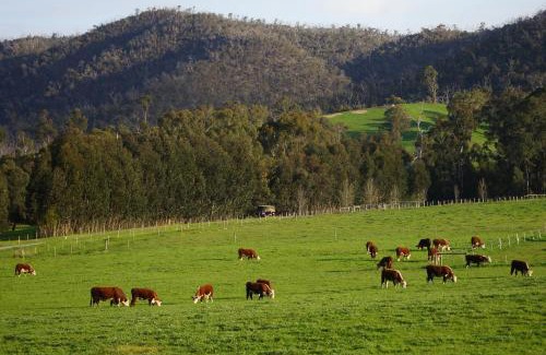Strath Creek Bed & Breakfast | Berner B&B, Halls on Falls Homestead