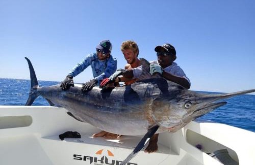 Nosy Tanihely Boat Rental | Bertin Fishing Nosy Be