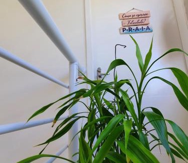 Jardim Rio da Praia Apartment | Bertioga Praia do SESC - Apartamento de 2 quartos