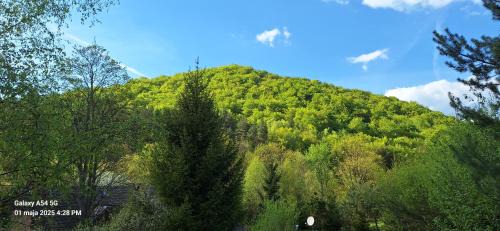 Uscie Gorlickie Bed & Breakfast | Beskid Masala