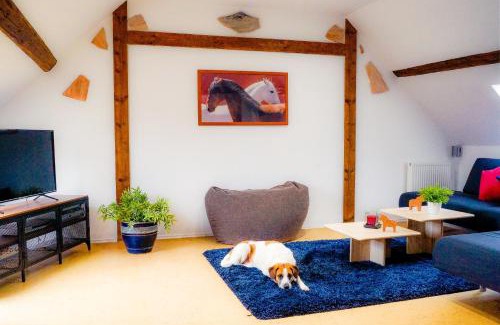 Munstermaifeld Apartment | Besondere Ferienwohnung Spirit auf idyllischem Reiterhof nahe Burg Eltz