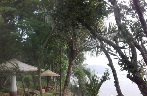 Kodanad Resort | Best Ayurvedic Treatments and Yoga Retreat in Kerala