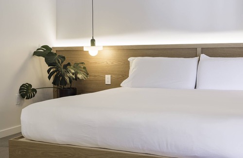 Midtown Hotel | Best Bet Motor Lodge