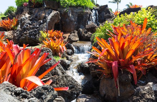 Hanamaulu Apartment | Best Deal in Town gorgeous Kauai beach resort, romantic, fun and yoga "zen"