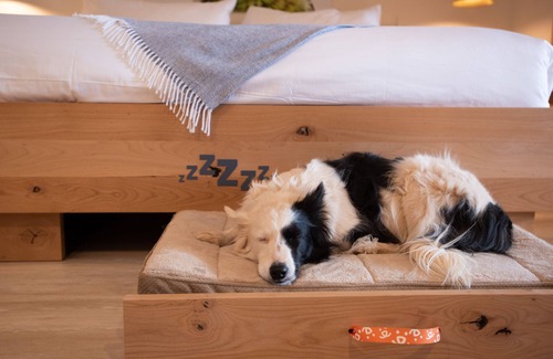Kanab Hotel | Best Friends Roadhouse and Mercantile
