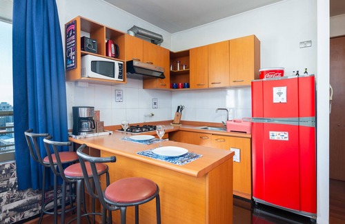 Downtown Santiago Apartment | Best Location in Santiago, Chile! Great View & Full Equiped Apartment!