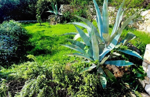 Ano Korakiana Villa | Best luxury villa with private beach in Barbati with amazing sea view