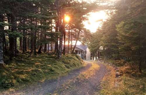 Brigus Junction Cabin | BEST View Wonderland-Cozy Cabin on Pond