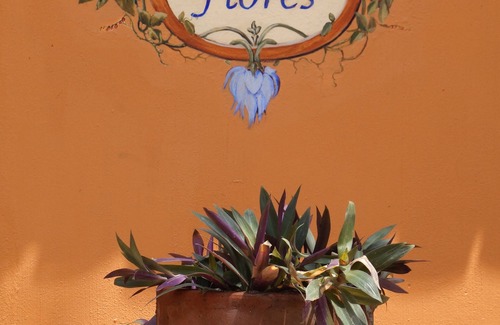 San Francisco House | Best Value in San Pancho & near the beach! Peaceful Casa Flores