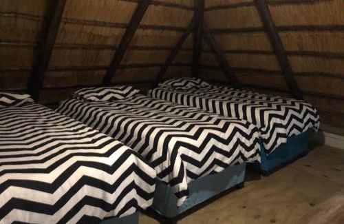 Metsimaholo House | Best view family loft