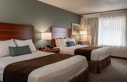 Custer Hotel | Best Western Buffalo Ridge Inn
