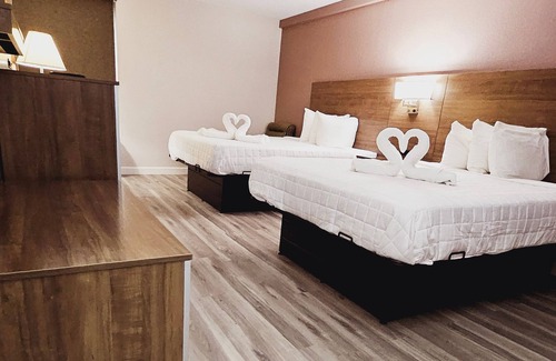Hopkinsville Hotel | Best Western Hopkinsville KY - Brand New Rooms