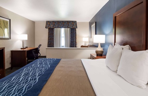Calallen Hotel | Best Western Northwest Corpus Christi Inn & Suites