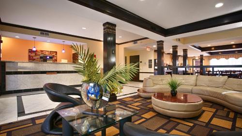 Dallas Hotel | Best Western Plus Addison/Dallas Hotel
