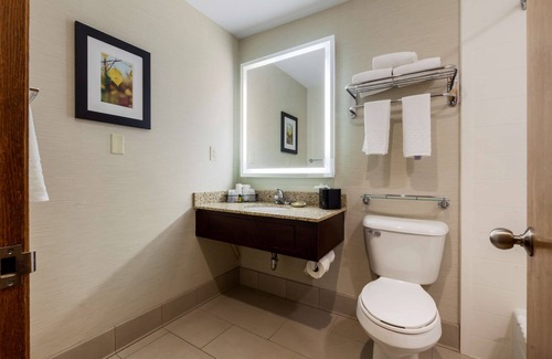 Dubuque Hotel | Best Western Plus Dubuque Hotel & Conference Center