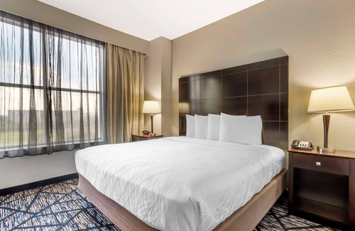 Southeast Houston Hotel | Best Western Plus Hobby Airport Inn & Suites