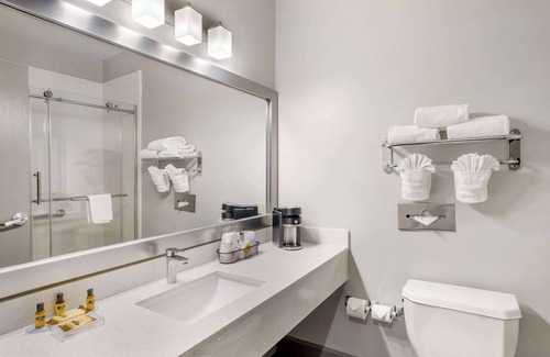Southeast Houston Hotel | Best Western Plus Hobby Airport Inn & Suites