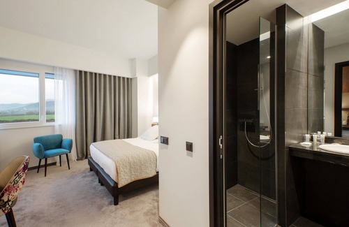 Selestat Hotel | Best Western Plus Hotel Les Humanistes