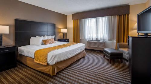 Bear Hotel | Best Western Plus Newark/Christiana Inn