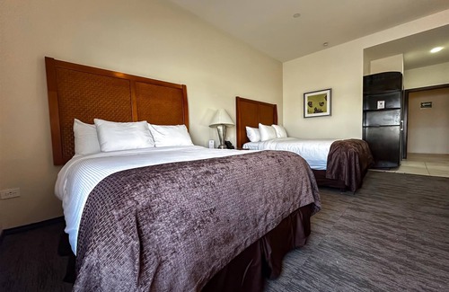 Chihuahua Hotel | Best Western Plus Sacramento
