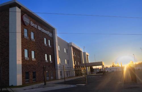 Chihuahua Hotel | Best Western Plus Sacramento
