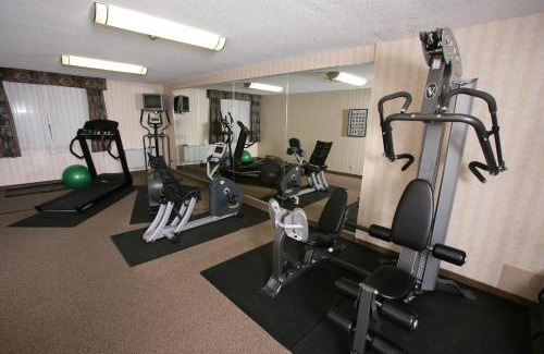 Northeast Mississauga Hotel | Best Western Plus Toronto Airport Hotel