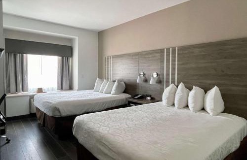 Roanoke Hotel | Best Western Roanoke Inn & Suites