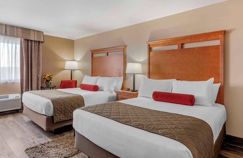 Hines Hotel | Best Western Rory & Ryan Inns