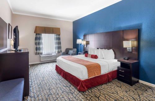 Spring Hill Hotel | Best Western Spring Hill Inn & Suites