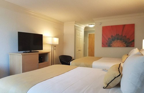 Winston - Salem Hotel | Best Western Plus University Inn