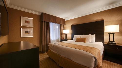 Yuma Hotel | Best Western Yuma Mall Hotel & Suites