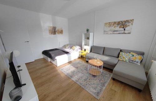 Hradec Kralove Apartment | BestNest HK