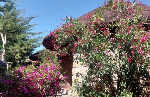 Lalibela Cabin | Bethan Amba ecovillage