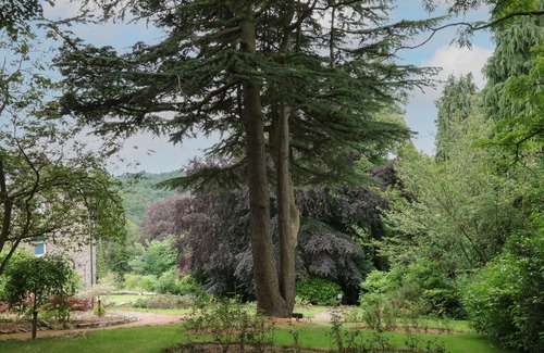 Calver Cottage | BETHANY B, with a garden in Calver