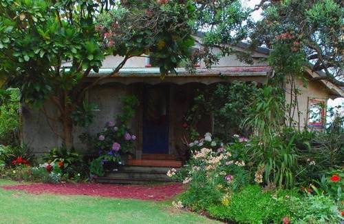 Te Henga House | Bethells Beach Cottages